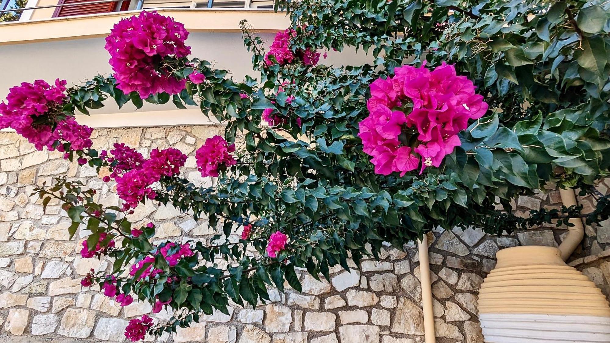 Villa Avgerini Paxos Gaios Ngoại thất bức ảnh